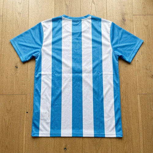 Argentina 2026 fan jersey back view